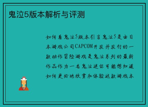 鬼泣5版本解析与评测