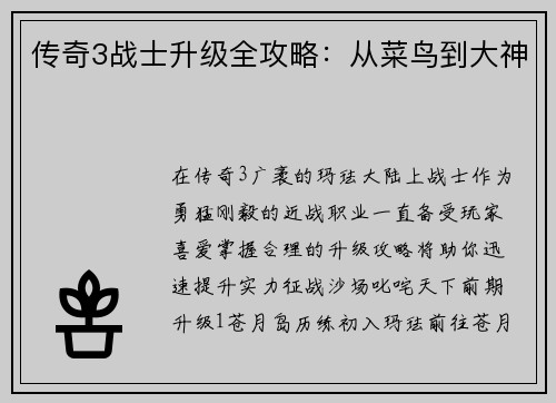 传奇3战士升级全攻略：从菜鸟到大神
