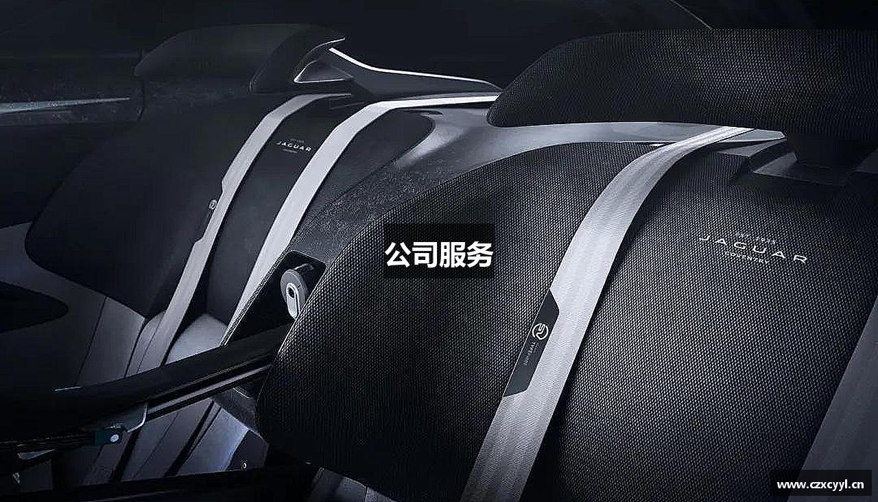 公司服务